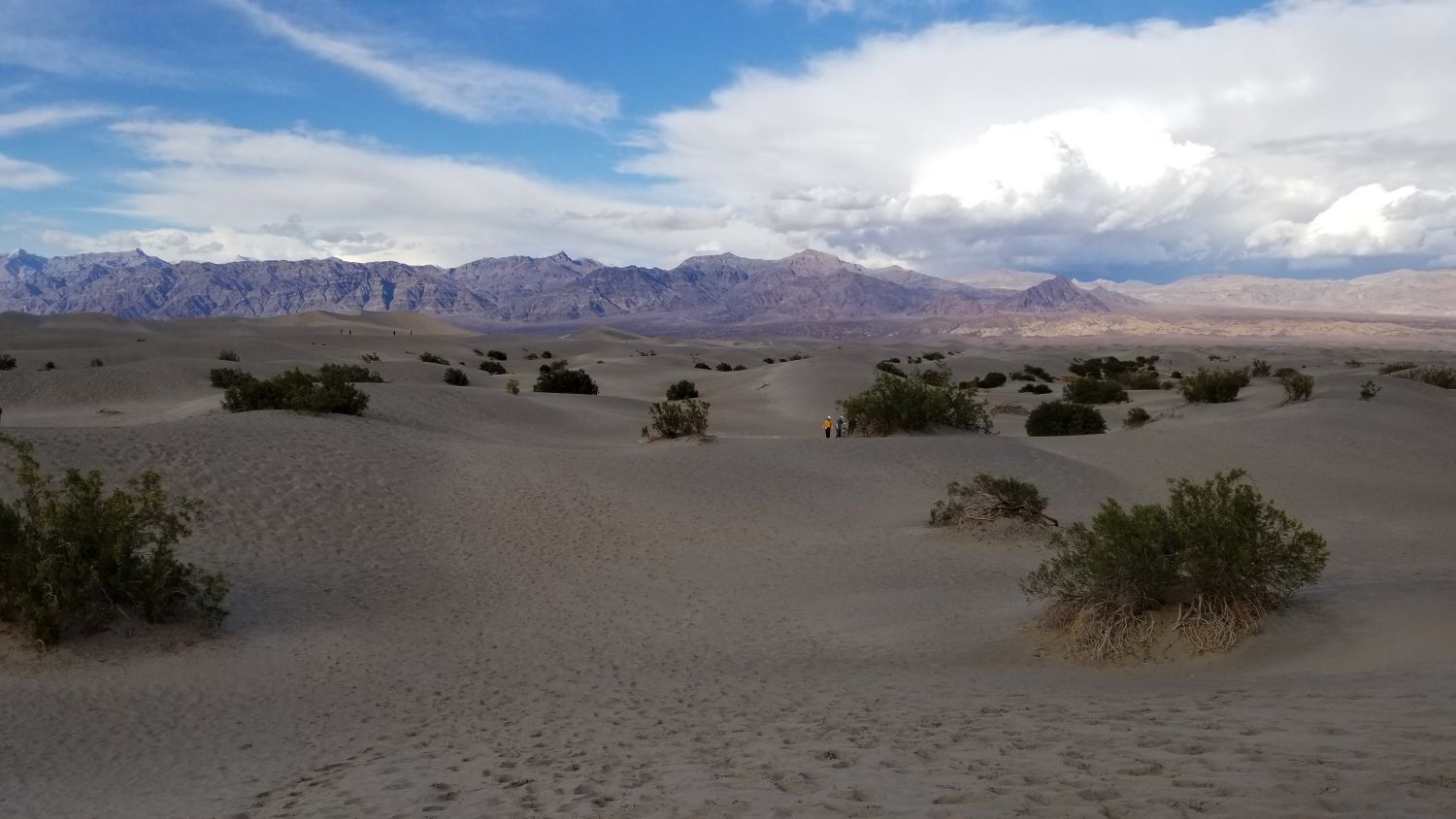 Mesquite Flat Sand Dunes