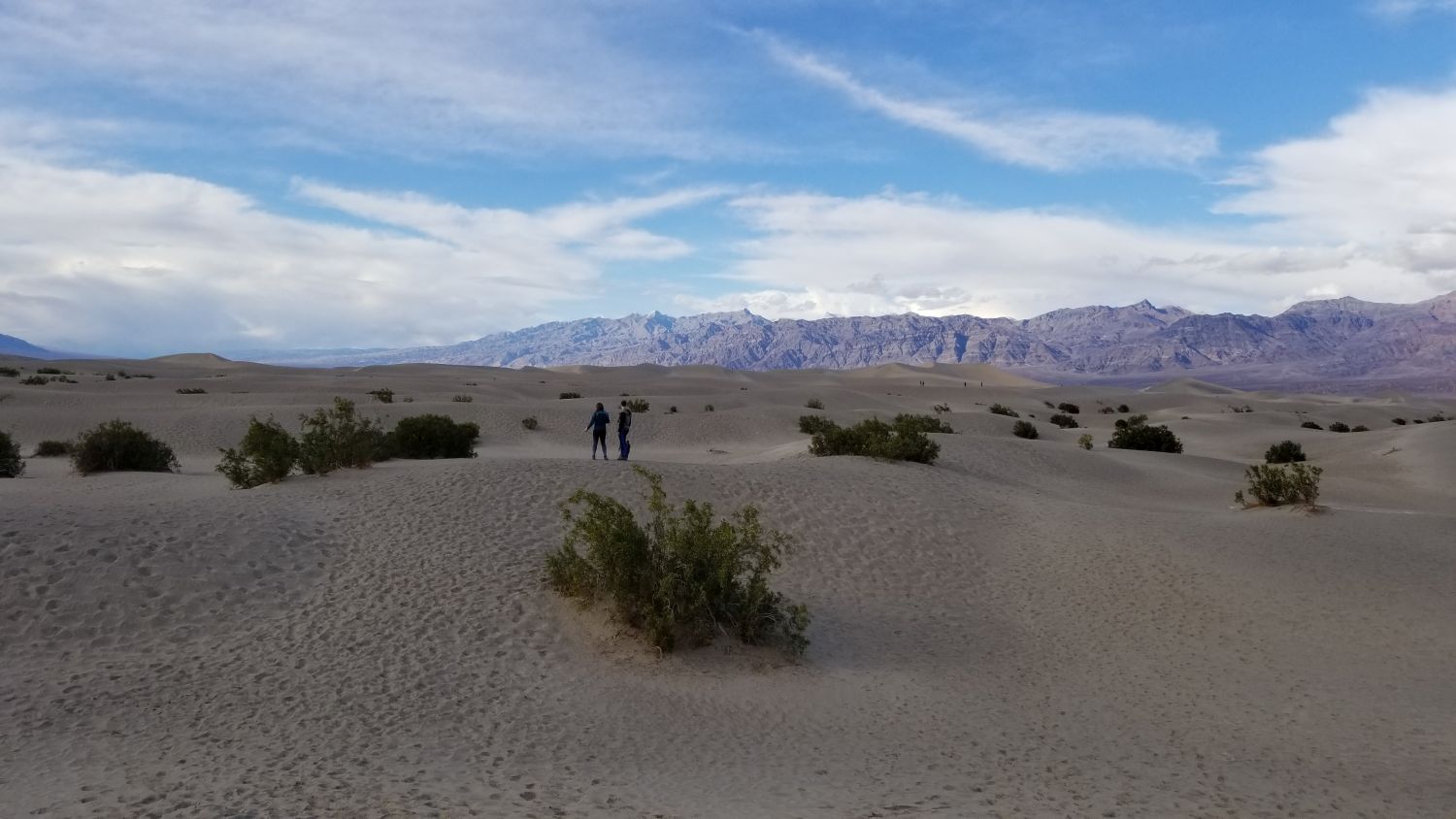Mesquite Flat Sand Dunes