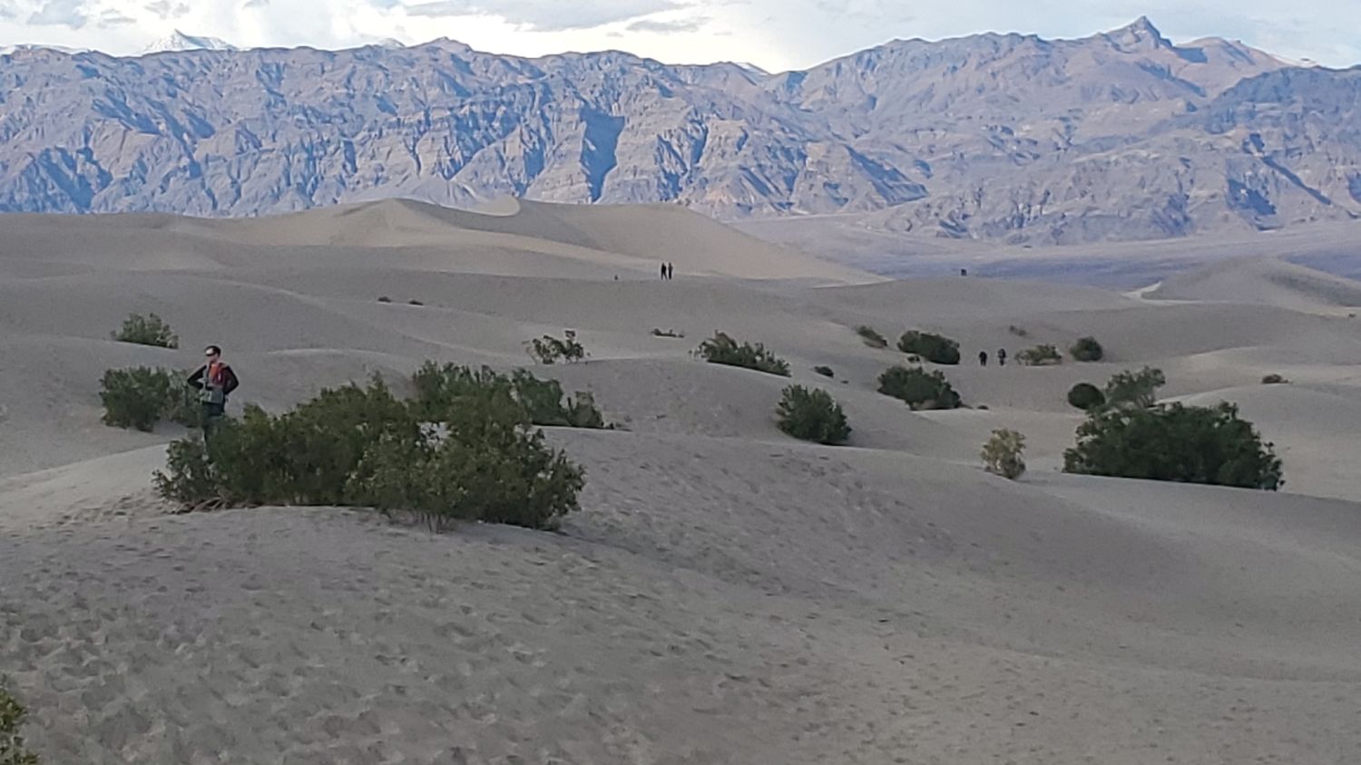 Mesquite Flat Sand Dunes