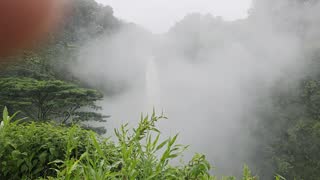 Akaka Falls State Park