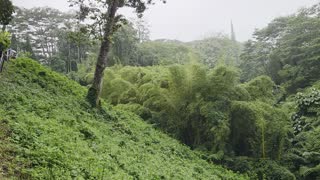 Akaka Falls State Park