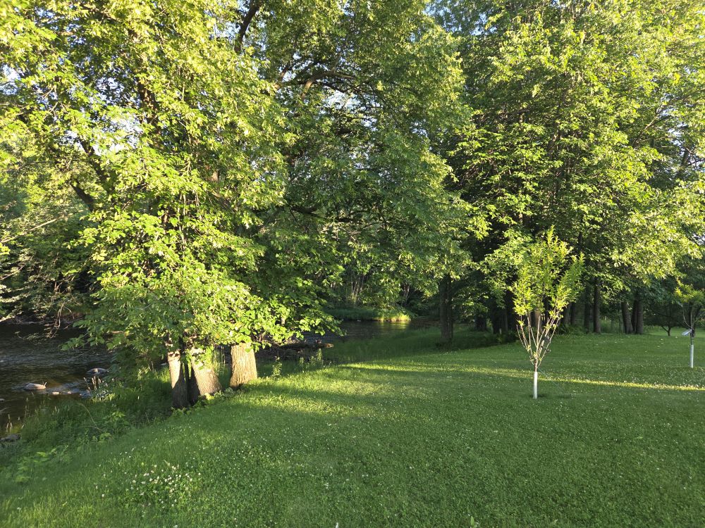 Keith and Lorri's back yard