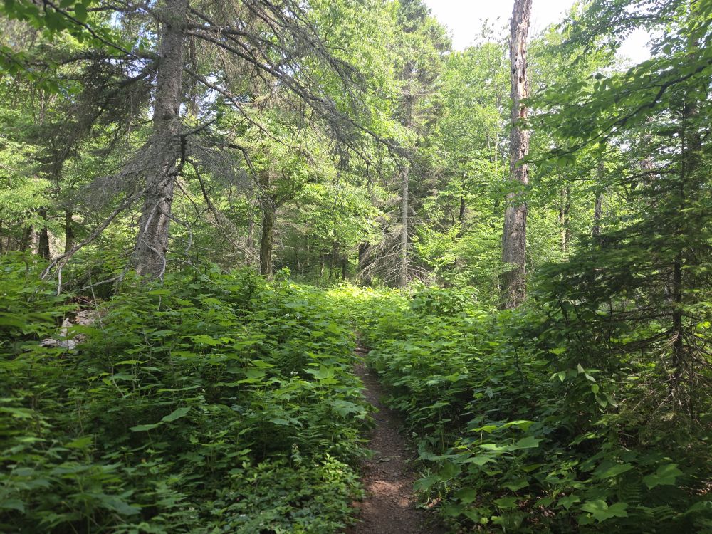Isle Royale National Park