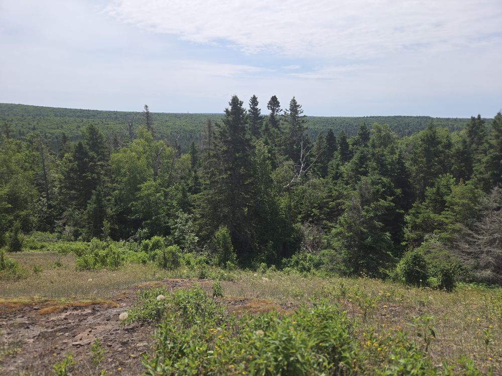 Isle Royale National Park
