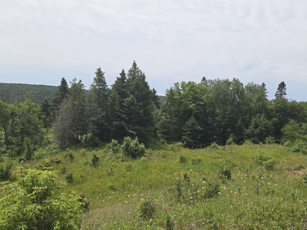 Isle Royale National Park