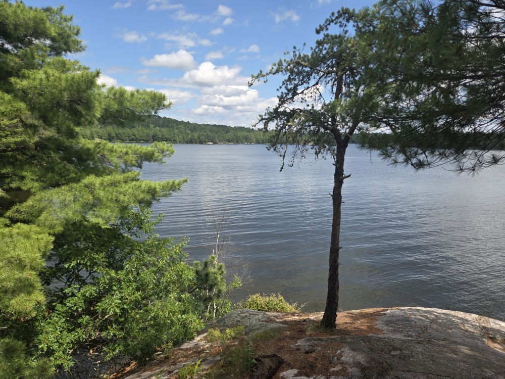 Voyageurs National Park