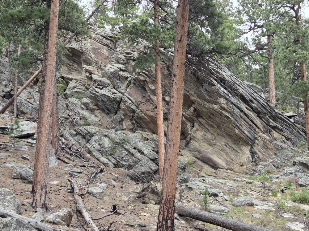 Mount Rushmore NM