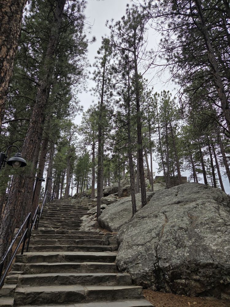 Mount Rushmore NM