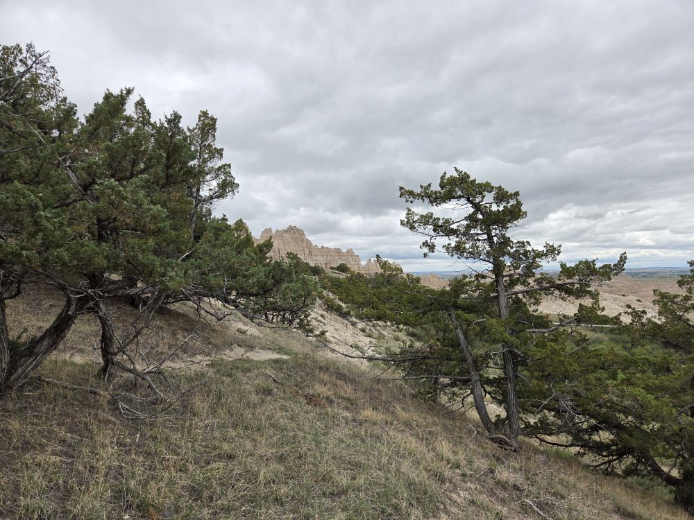 Cliff Shelf Nature Trail