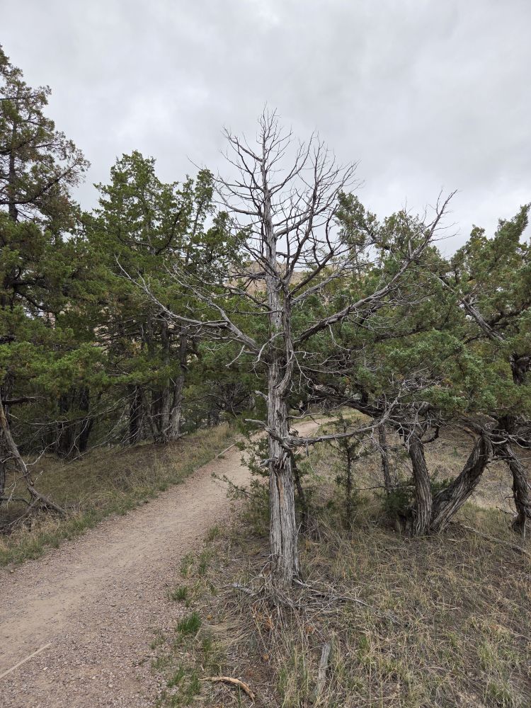Cliff Shelf Nature Trail