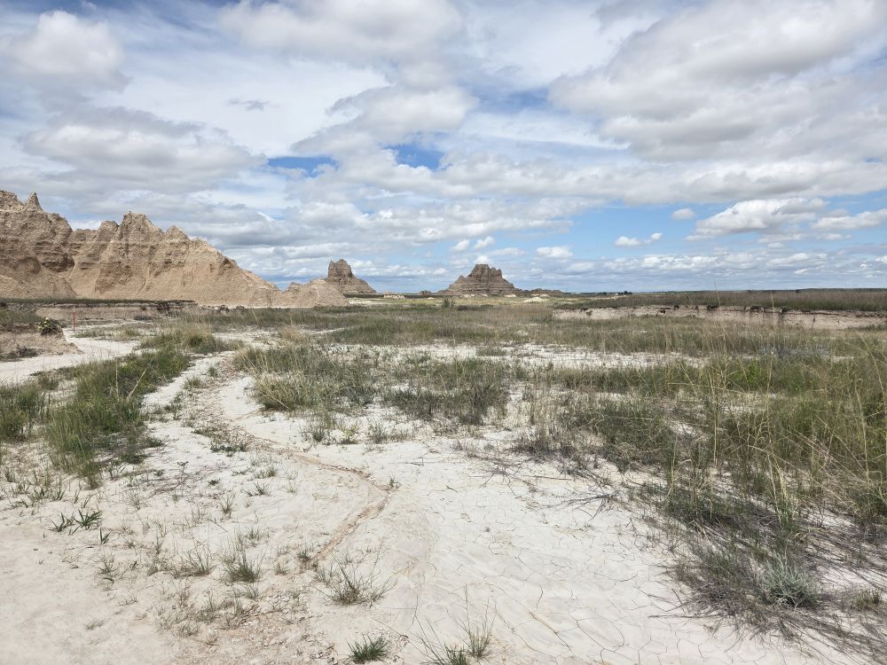Castle Trail