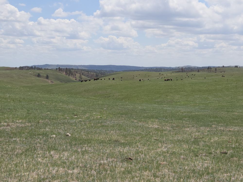 Wind Cave Hike