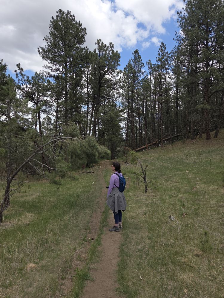 Wind Cave Hike