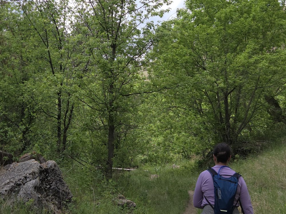 Wind Cave Hike