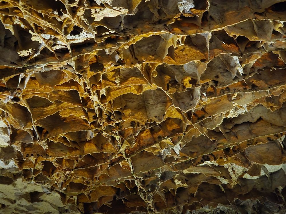 Wind Cave Natural Entrance Tour