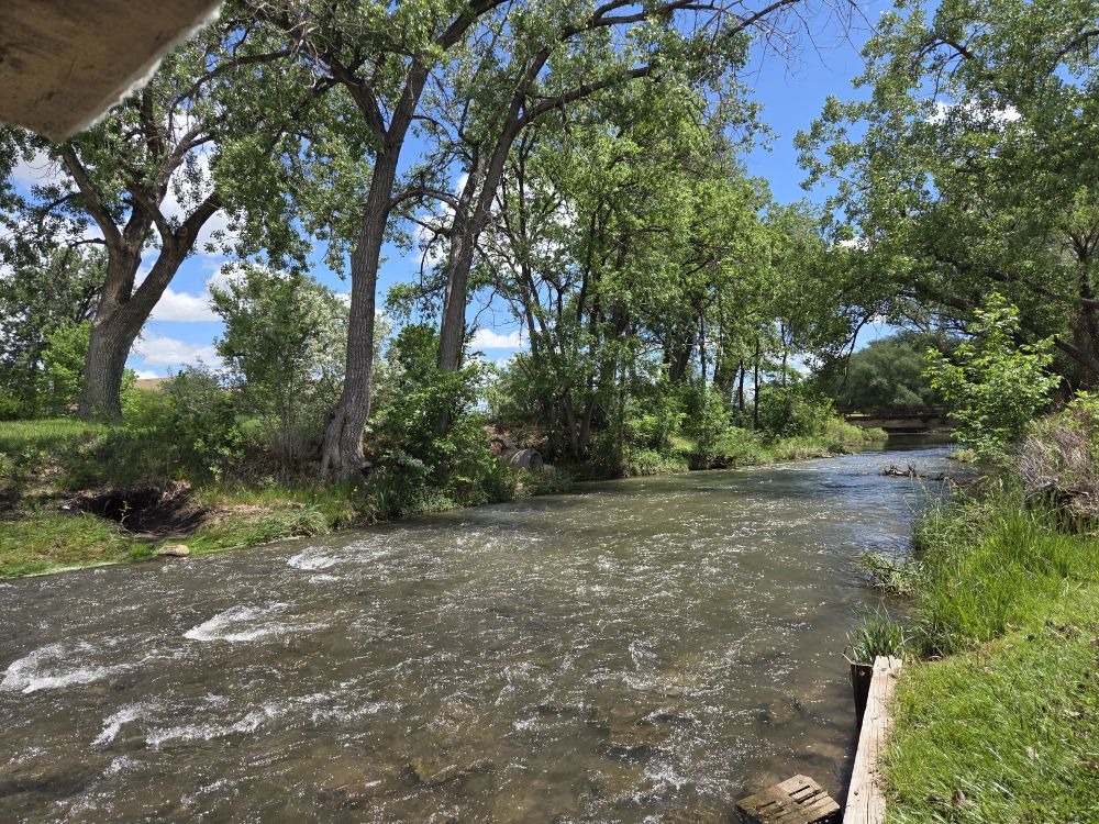 Short River Hike