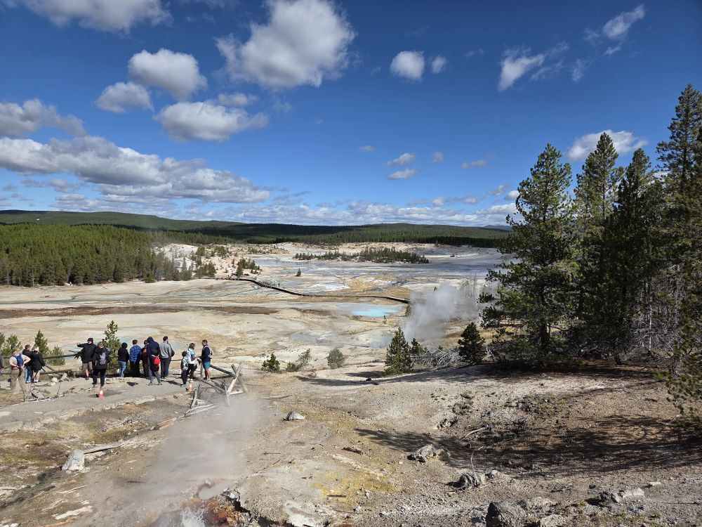 Norris Geyser Basin
