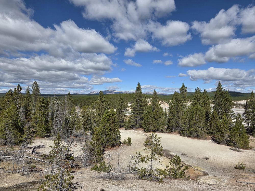 Norris Geyser Basin