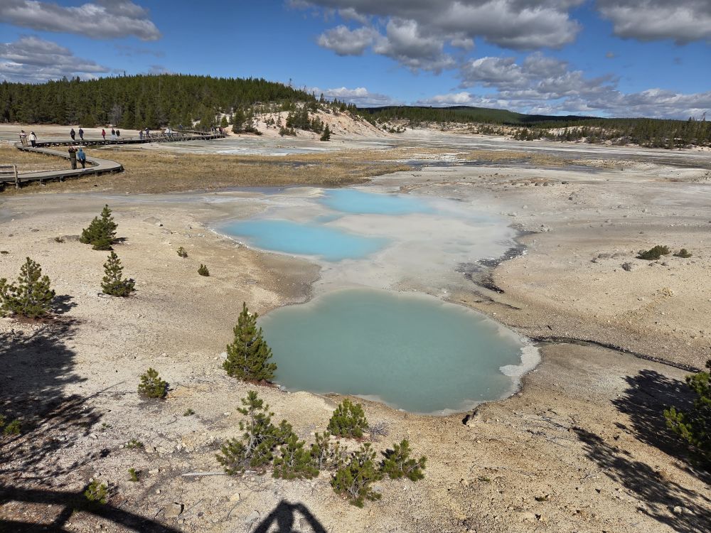 Norris Geyser Basin