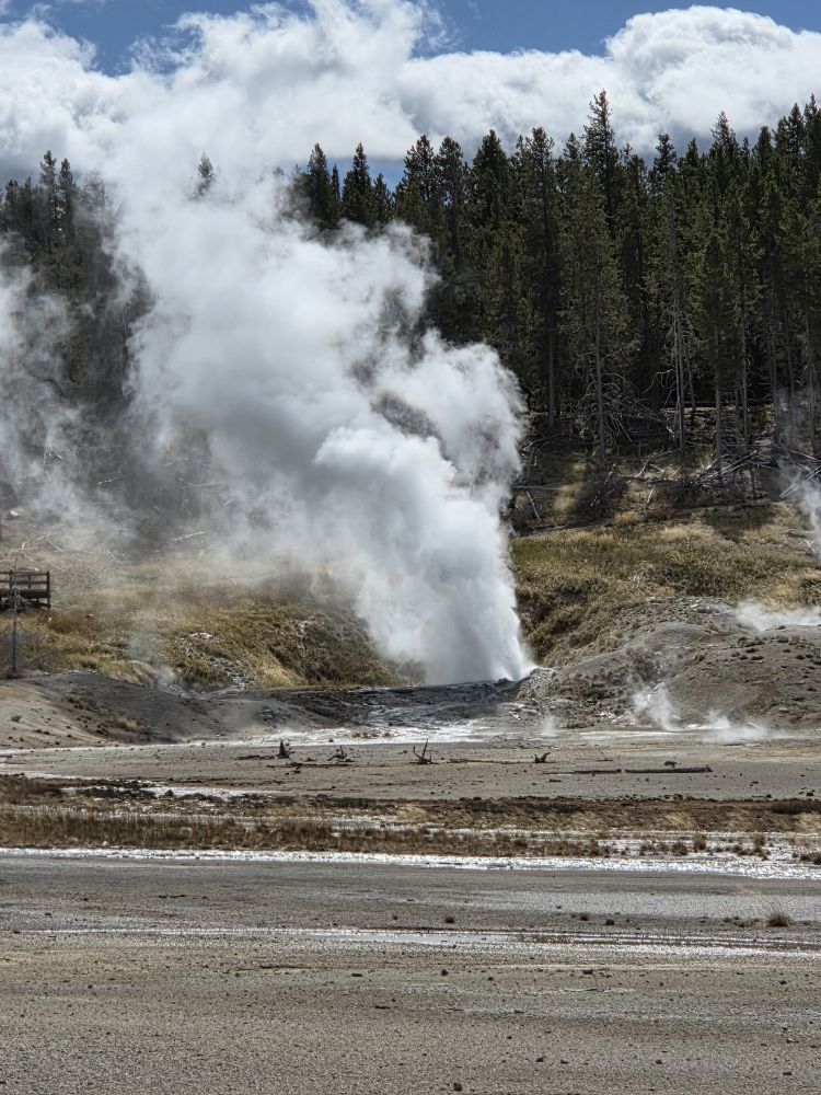 Norris Geyser Basin