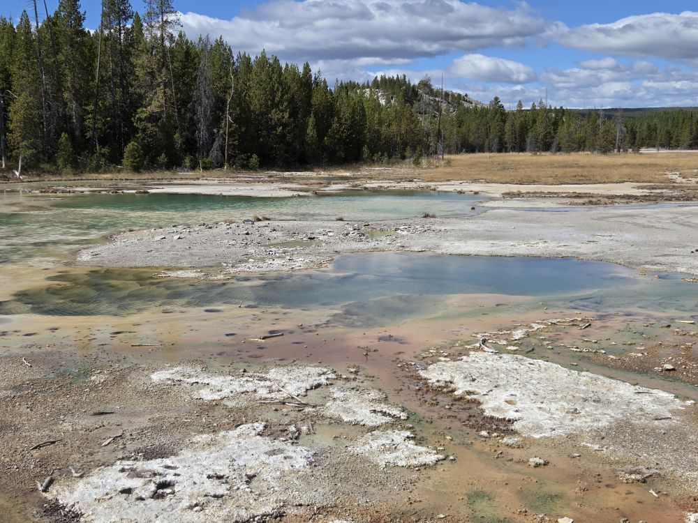 Norris Geyser Basin