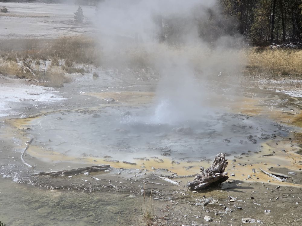 Norris Geyser Basin
