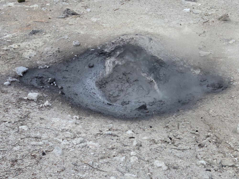 Norris Geyser Basin