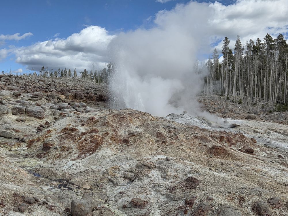 Norris Geyser Basin
