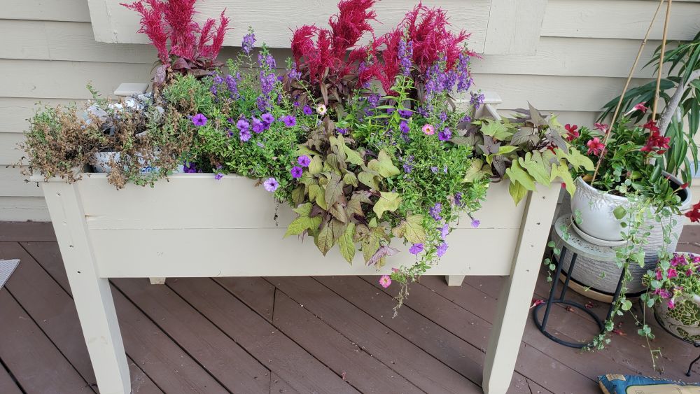 Deck Planter III